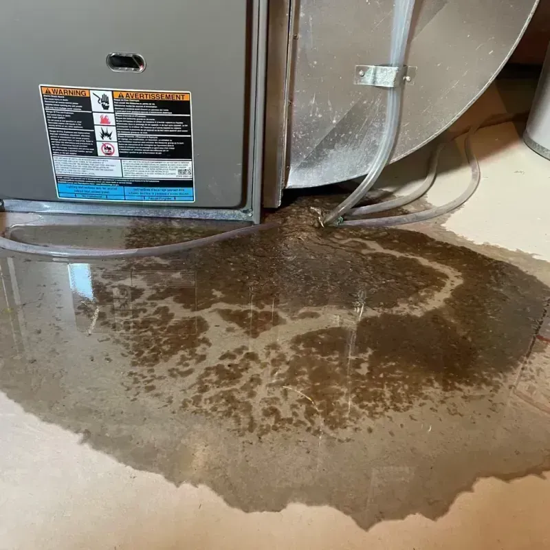 Appliance Leak Cleanup in Massac, KY